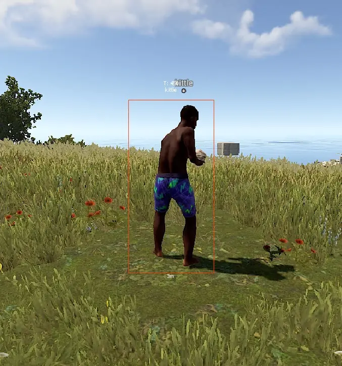 Elysian Rust DMA — Rust screenshot 7