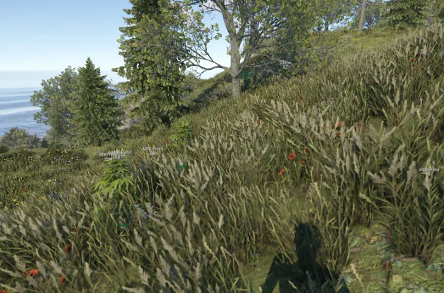 Nightfall Rust DMA — Rust screenshot 3