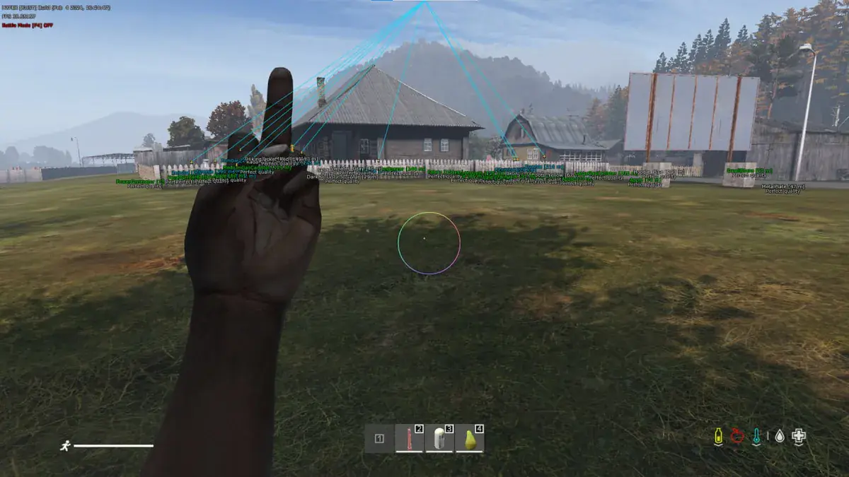 HC — DayZ screenshot 1